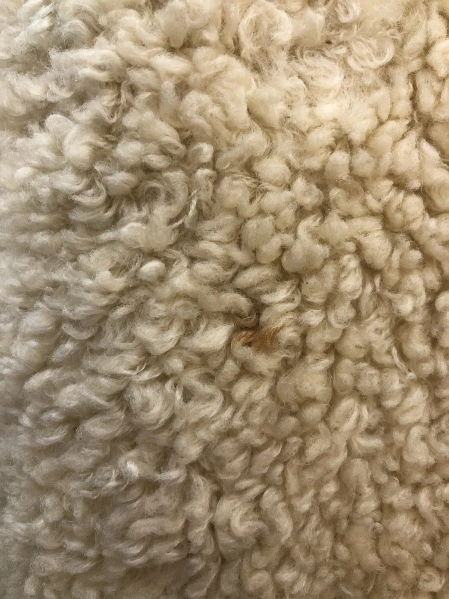 1960s Teddy Coat in Cream - Size UK 14