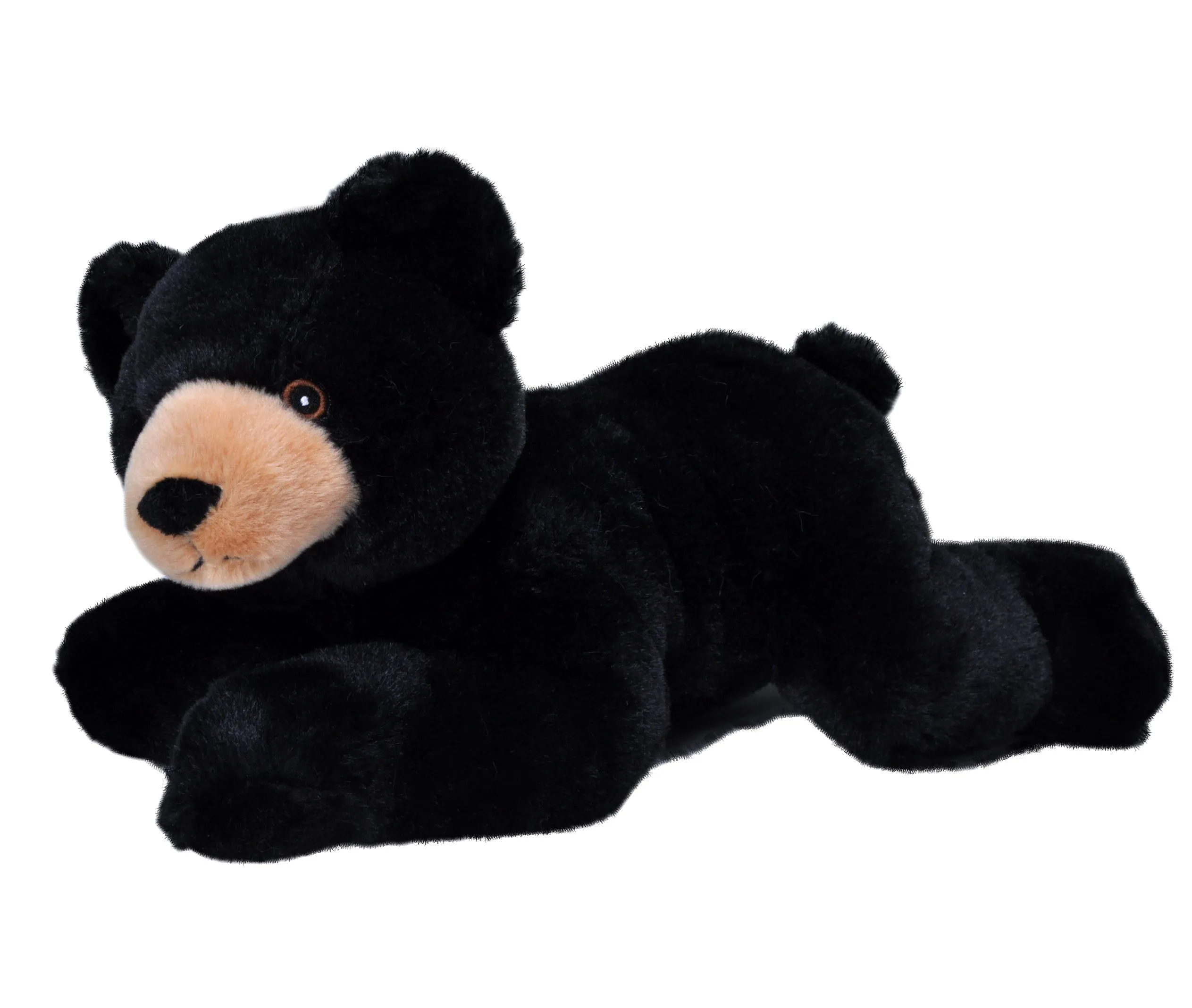 Black Bear Ecokins