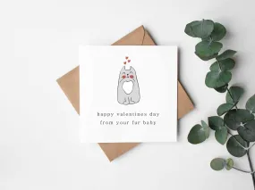 Happy Valentine's Day From Your Fur Baby Greetings Card - Cat