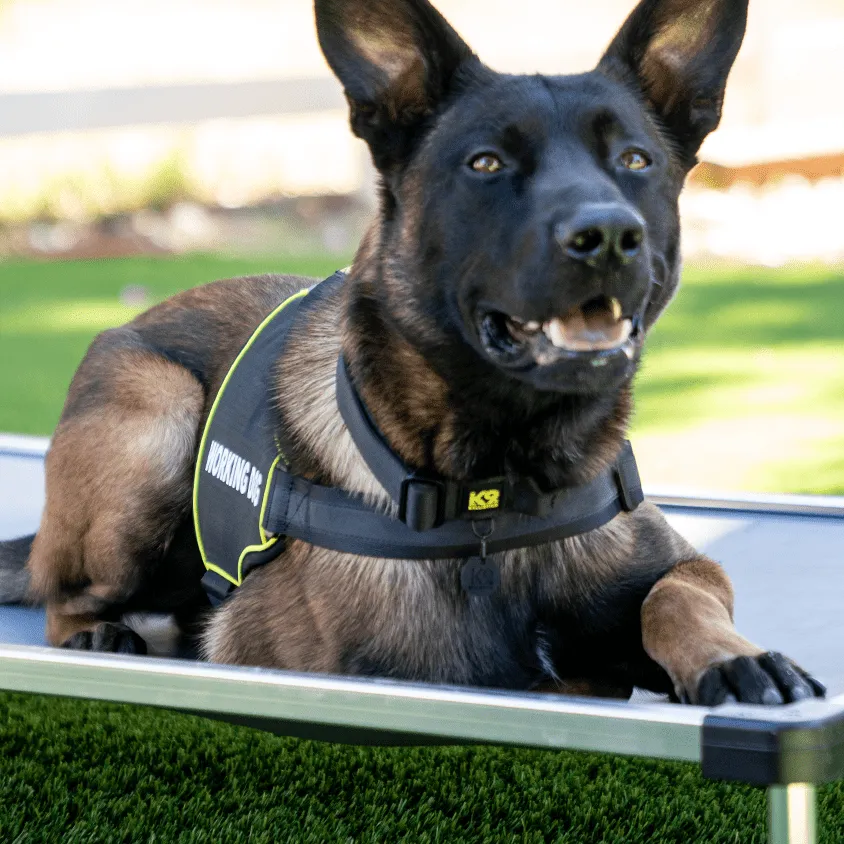 K9 Pro™ Dog Harness
