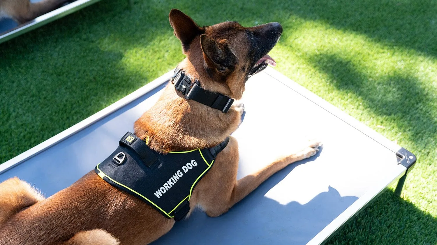 K9 Pro™ Dog Harness