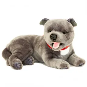 Realistic Lying Blue or Gray Staffordshire Bull Terrier Size 35cm/13.75"