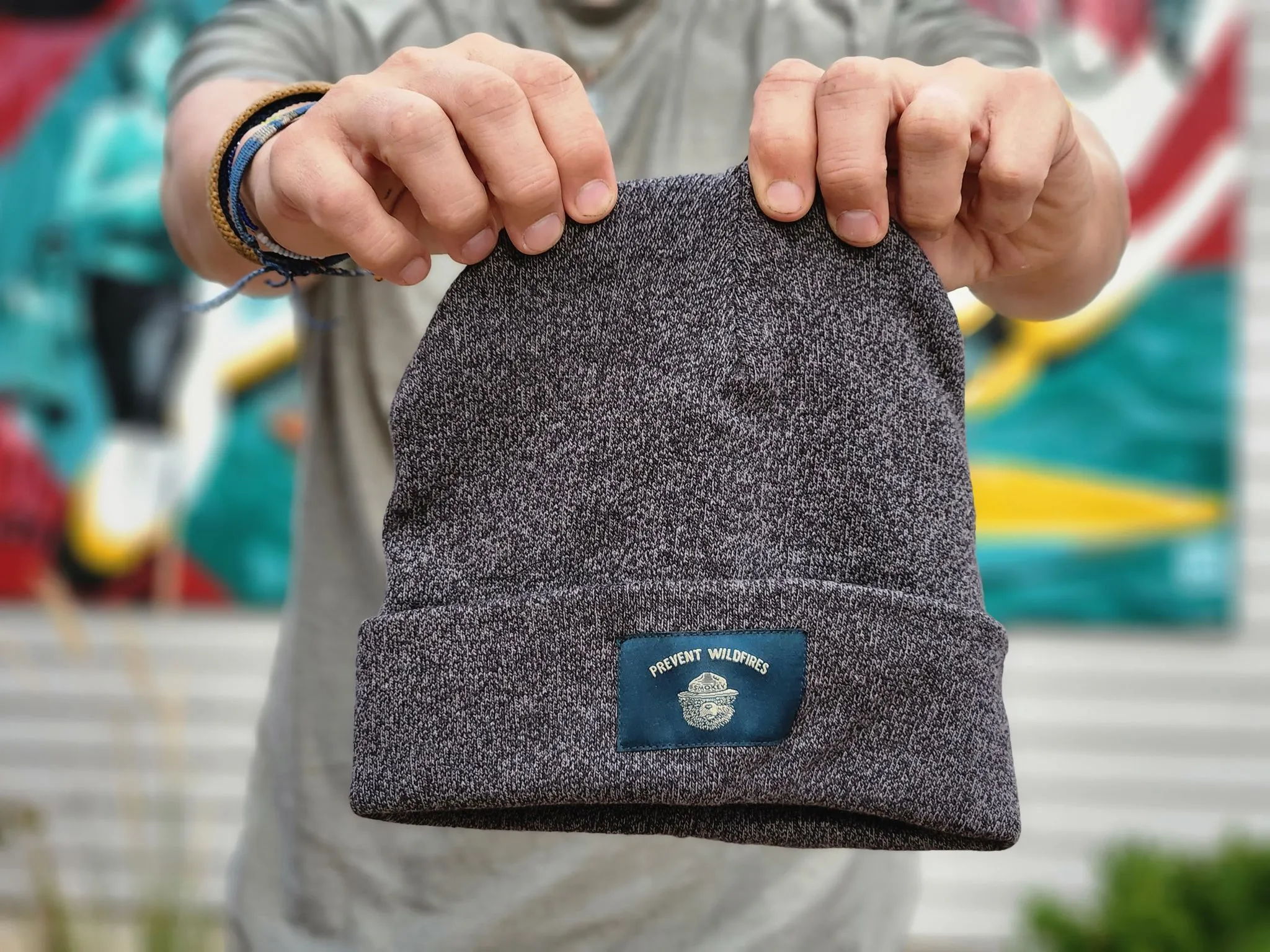 Tentree Smokey Cotton Beanie