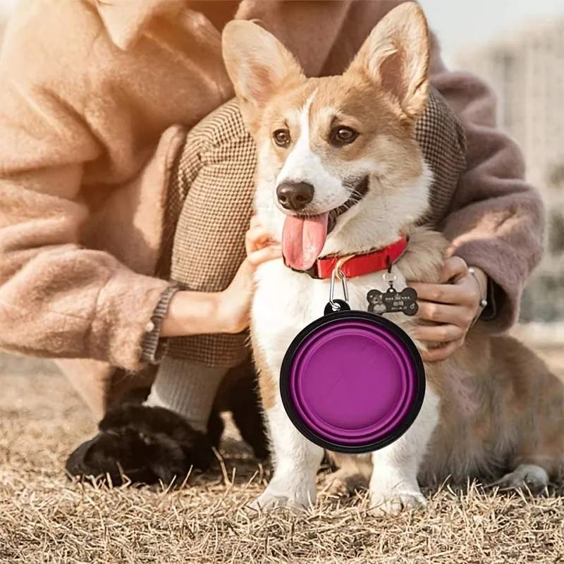 TravelFriendly Pet Food Bowl Collapsible  Resilient Dish for Pets