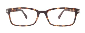 VM-101 New Tort (Wholesale)