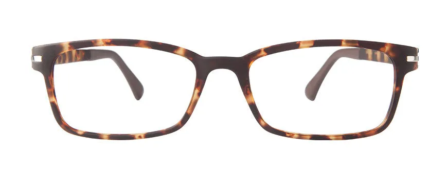 VM-101 New Tort